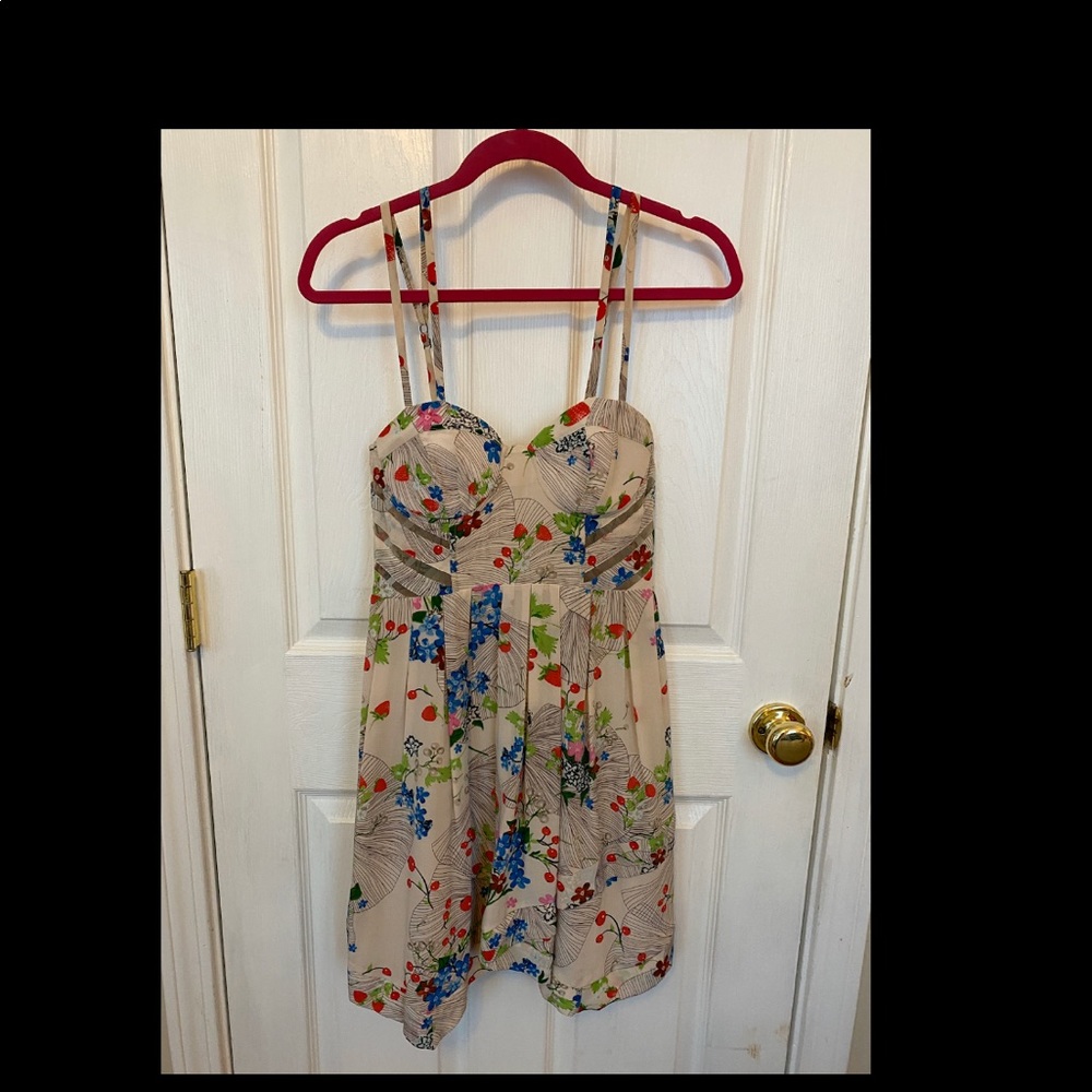 Leifsdottir strawberry and floral dress